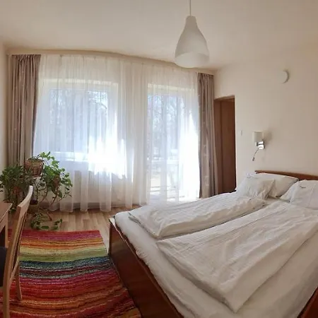 Platan Panzio 3*