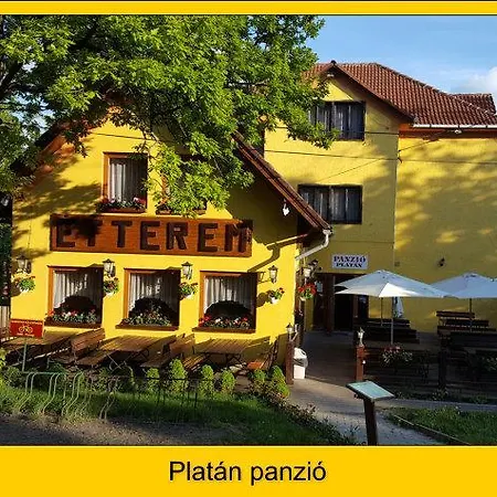 Platan Panzio Gasthof 3*