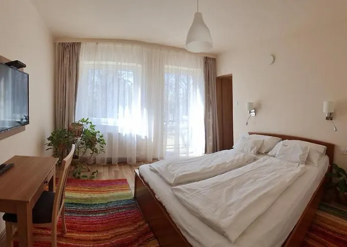 Platan Panzio 3*