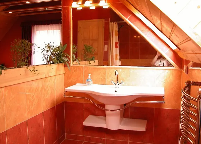 Platan Panzio Pensjonat 3*