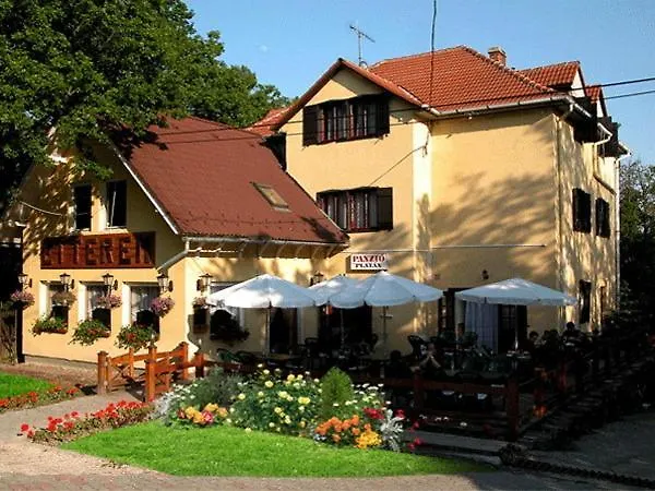 Platan Panzio Pensjonat 3*