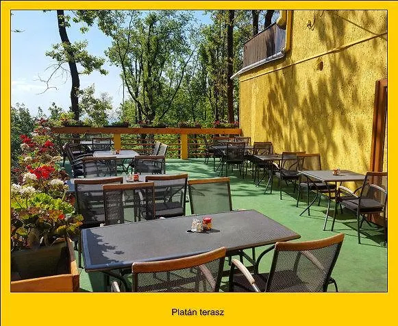 Platán Panzió Casa de hóspedes 3*