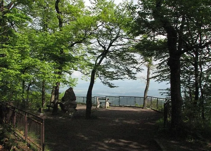 Platán Panzió
